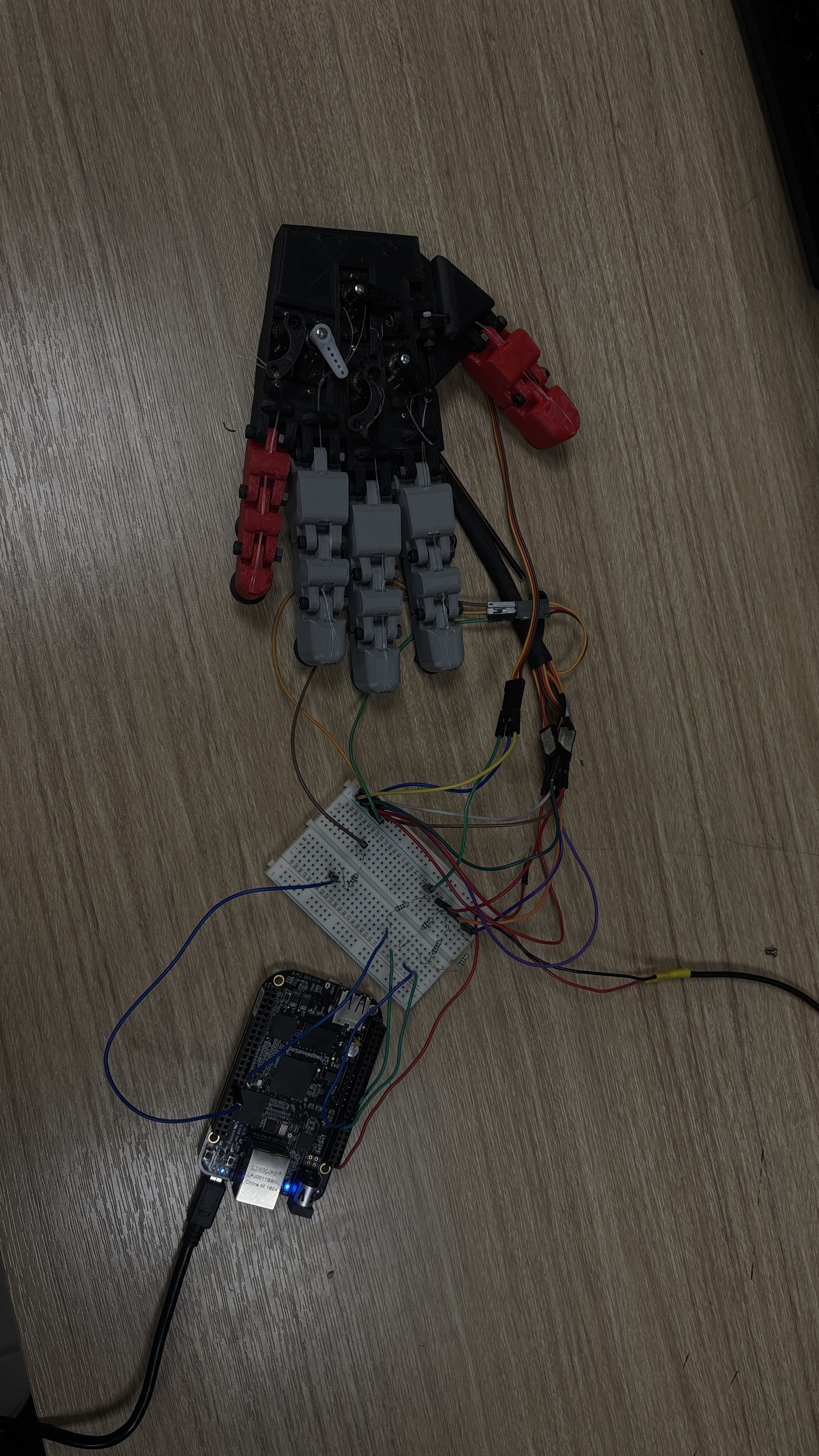 Proyecto 1